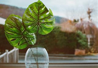 Tử vi thứ 5 ngày 17/11/2022 của 12 con giáp: Thìn có tiền, Tị thoải mái