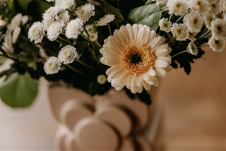 Tử vi tuần mới của 12 cung hoàng đạo (2-8/1/2023): Cự Giải ổn định, Thiên Bình khiêm tốn