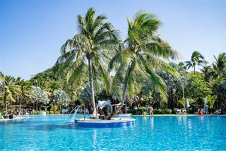 Tử vi thứ 4 ngày 8/1/2023 của 12 cung hoàng đạo: Sư Tử nóng nảy, Ma Kết điềm tĩnh