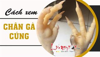 Hướng dẫn cách xem chân gà cúng siêu chuẩn để tự dự báo điềm tốt xấu cho cả gia đình