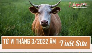Tử vi tháng 3/2022 tuổi Sửu âm lịch: Khó khăn chồng chất, chớ nên bỏ cuộc