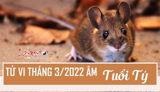 Tử vi tháng 3/2022 tuổi Tý âm lịch: Xã giao tốt đẹp, sự nghiệp hanh thông