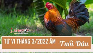 Tử vi tháng 3/2022 tuổi Dậu âm lịch: Sự nghiệp hanh thông, tình duyên rực rỡ