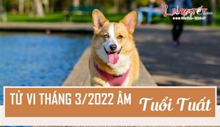 Tử vi tháng 3/2022 tuổi Tuất âm lịch: Công việc trục trặc, tình duyên nhạt nhòa