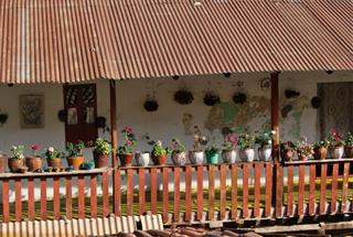 Tử vi tuần mới từ 7-13/3/2022 của 12 con giáp: Ngọ có điểm sáng, Thân tiến triển tốt