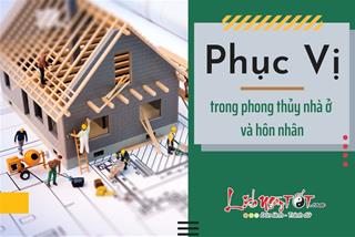 Phục Vị là gì? Cách xác định hướng Phục Vị theo tuổi đem lại may mắn cho gia chủ