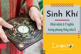 Sinh Khí là gì? Vì sao các chuyên gia phong thủy khuyên nên chọn nhà theo hướng Sinh Khí?