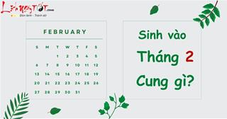Tháng 2 là cung gì? Giải đáp cặn kẽ về người có tháng sinh đặc biệt nhất trong năm