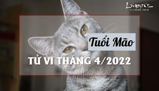 Tử vi tháng 4/2022 tuổi Mão âm lịch: Tập trung phát triển dựa vào lợi thế sẵn có