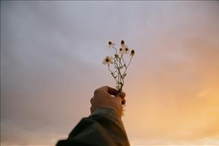 Tử vi thứ 4 ngày 30/3/2022 của 12 con giáp: Tý bấp bênh, Tuất may mắn