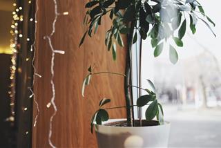 Tử vi thứ 5 ngày 7/4/2022 của 12 con giáp: Sửu năng suất, Thân xung đột