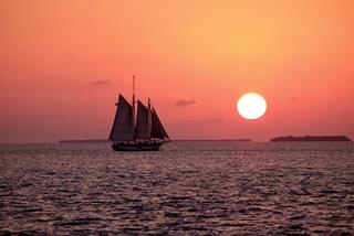 Tử vi Chủ nhật ngày 13/3/2022 của 12 con giáp: Ngọ có lộc, Hợi an phận