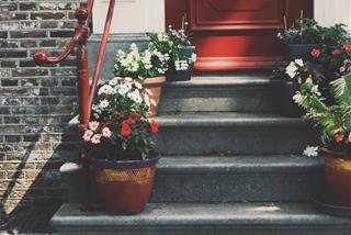 Tử vi thứ 3 ngày 15/3/2022 của 12 con giáp: Dần thêm tự tin, Ngọ thiếu động lực