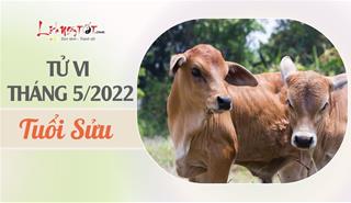 Tử vi tháng 5/2022 tuổi Sửu âm lịch: Sự nghiệp trắc trở, tình cảm thăng hoa