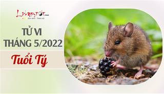 Tử vi tháng 5/2022 tuổi Tý âm lịch: Suy nghĩ cực đoan, vướng vào rắc rối