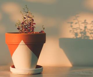 Tử vi thứ 3 ngày 19/4/2022 của 12 con giáp: Mùi tỏa sáng, Thìn gặp tiểu nhân