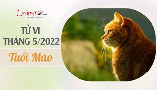 Tử vi tháng 5/2022 tuổi Mão âm lịch: Sự nghiệp trở ngại, tình duyên rực sáng