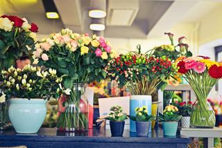 Tử vi thứ 6 ngày 22/4/2022 của 12 con giáp: Dần kiêu ngạo, Mão đào hoa