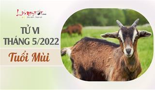 Tử vi tháng 5/2022 tuổi Mùi âm lịch: Cát tinh soi chiếu, vận trình trôi chảy