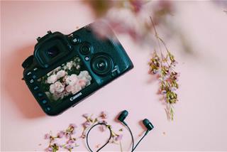 Tử vi tuần mới từ 2 - 8/5/2022 của 12 con giáp: Ngọ có duyên, Dần đỡ vất vả