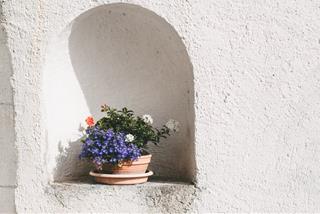 Tử vi thứ 7 ngày 16/4/2022 của 12 con giáp: Tị có tranh cãi, Hợi mất tinh thần