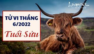 Tử vi tháng 6/2022 tuổi Sửu âm lịch: Tâm lý chán chường, dễ bỏ cuộc nửa chừng