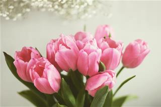 Tử vi thứ 5 ngày 19/5/2022 của 12 con giáp: Sửu vượng duyên, Ngọ có tiền