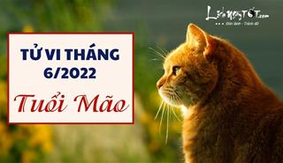 Tử vi tháng 6/2022 tuổi Mão âm lịch: Ngày càng ổn định, vận quý nhân khởi vượng