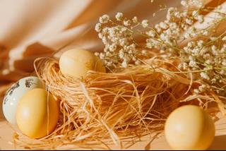 Tử vi Chủ nhật ngày 22/5/2022 của 12 con giáp: Sửu may mắn, Tý giỏi ăn nói