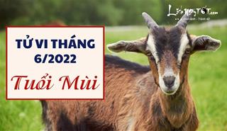 Tử vi tháng 6/2022 tuổi Mùi âm lịch: Có cát có hung, ít biến động đáng lo