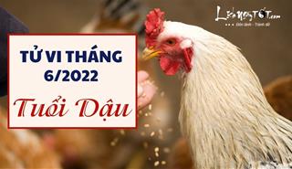 Tử vi tháng 6/2022 tuổi Dậu âm lịch: Thuận buồm xuôi gió trên nhiều phương diện
