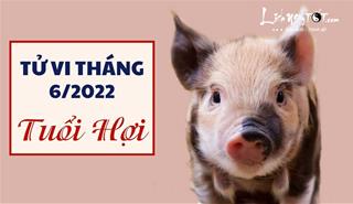 Tử vi tháng 6/2022 tuổi Hợi âm lịch: Vận trình bừng sáng, đạt nhiều thành tựu vẻ vang