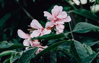 Tử vi Chủ nhật ngày 29/5/2022 của 12 cung hoàng đạo: Sư Tử tự tin, Thiên Bình thất vọng