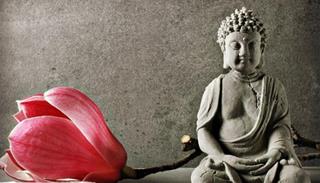 Lời Phật dạy về lòng đố kỵ: Tội ác tiềm tàng mà ta chẳng hay biết