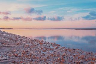 Tử vi thứ 6 ngày 3/6/2022 của 12 cung hoàng đạo: Hổ Cáp đuối sức, Bạch Dương tự tin