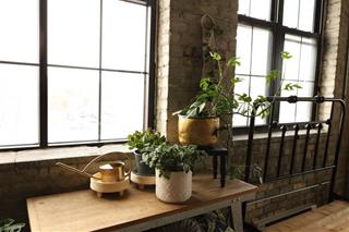 Tử vi thứ 7 ngày 11/6/2022 của 12 con giáp: Mão gặp quý nhân, Tuất bị chơi xấu