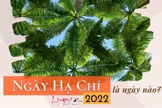 Ngày Hạ Chí 2022 là ngày nào? Có gì cần lưu ý ở thời điểm dương khí xung thịnh trong năm Nhâm Dần?