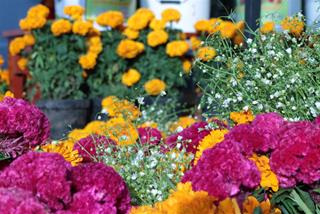 Tử vi thứ 2 ngày 27/6/2022 của 12 cung hoàng đạo: Sư Tử vui vẻ, Ma Kết thay đổi