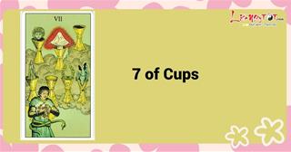 Lá bài 7 of Cups là gì? Hãy thôi mơ mộng khi bốc được lá bài này!