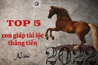 Tử vi năm 2022 - Những con giáp 6 tháng cuối năm tài lộc nở rộ