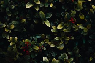 Tử vi Chủ nhật ngày 24/7/2022 của 12 cung hoàng đạo: Sư Tử tốn tiền, Thiên Bình khuôn mẫu