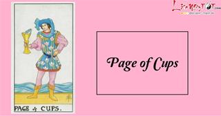 Lá bài Page of Cups là gì? Lá bài mang vị thần Cupid đến với chúng ta!