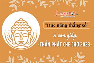 5 tuổi được Thần Phật che chở có gia tài kếch sù năm 2023, minh chứng cho câu “đức năng thắng số”