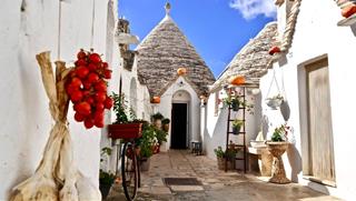 Tử vi thứ 3 ngày 9/8/2022 của 12 con giáp: Dần vượng quý nhân, Ngọ nhạy cảm