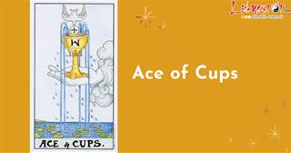 Lá bài Ace of Cups trong Tarot và ý nghĩa quan trọng không thể bỏ lỡ của nó