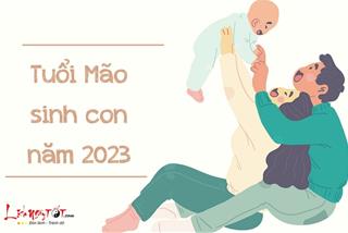 2023 là năm tuổi, người tuổi Mão có nên sinh con không? Nếu có ý định sinh con cần chú ý điều gì?