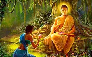 Tò mò muốn biết Đức Phật làm gì khi gặp việc khó hãy đọc ngay bài viết này!