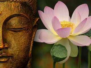 Phật dạy: Những ĐIỀU ÁC tuyệt đối nên tránh làm trong đời nếu muốn tích PHƯỚC
