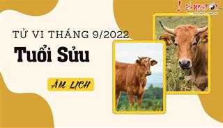 Tử vi tháng 9/2022 tuổi Sửu âm lịch: Có bước tiến ổn định và chắc chắn