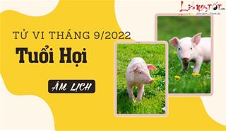 Tử vi tháng 9/2022 tuổi Hợi âm lịch: Thể trạng giảm sút, tinh thần mỏi mệt